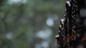 Video Stock Rain Falling From The Roof On A Rainy Day Live Wallpaper Free