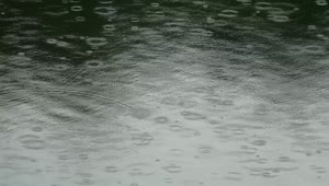 Video Stock Raindrops On Water Surface Live Wallpaper Free