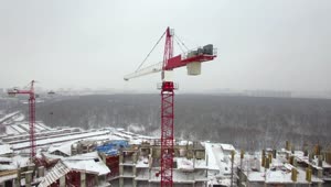Video Stock Red Crane Working In The Snow Live Wallpaper Free