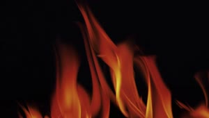 Video Stock Red Flames Burning At Night Live Wallpaper Free