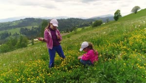 Free Stock Video Sisters Spending Time Together On The Meadow Live Wallpaper