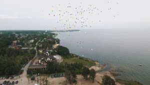Free Stock Video Releasing Colorful Balloons Live Wallpaper