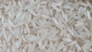 Free Stock Video Rice Grains In Detail Live Wallpaper