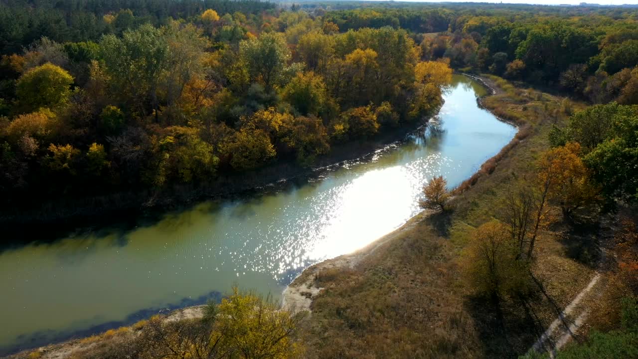 Download Free Stock Video River Crossing The Autumn Forest Live Wallpaper