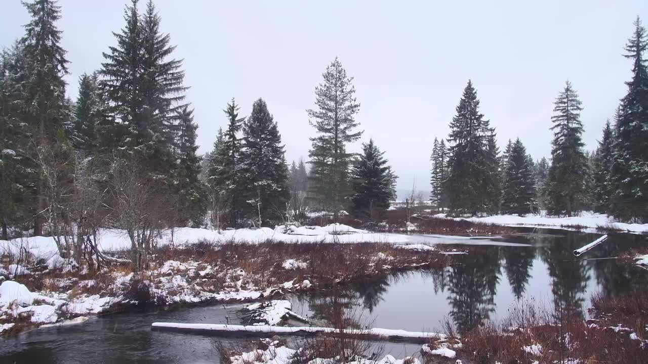 Download Free Stock Video River Flowing During A Cloudy Day In Canada Live Wallpaper