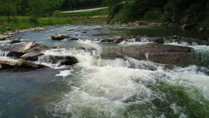 Free Stock Video River Flowing In A Park Live Wallpaper