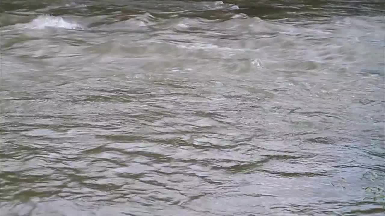 Download Free Stock Video River Flowing In Summer Live Wallpaper