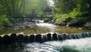 Free Stock Video River In A Cabin Area In The Woods Live Wallpaper