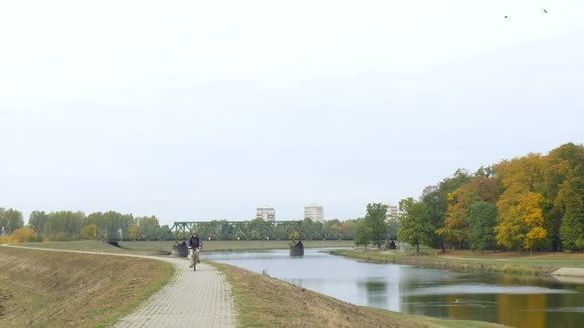 Download Free Stock Video River In A Large Park With People And Trees Live Wallpaper