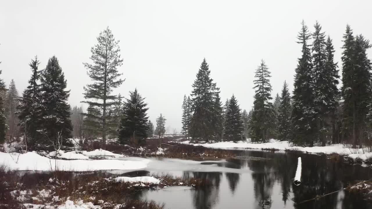 Download Free Stock Video River In A Snowy Forest Of Canada Live Wallpaper