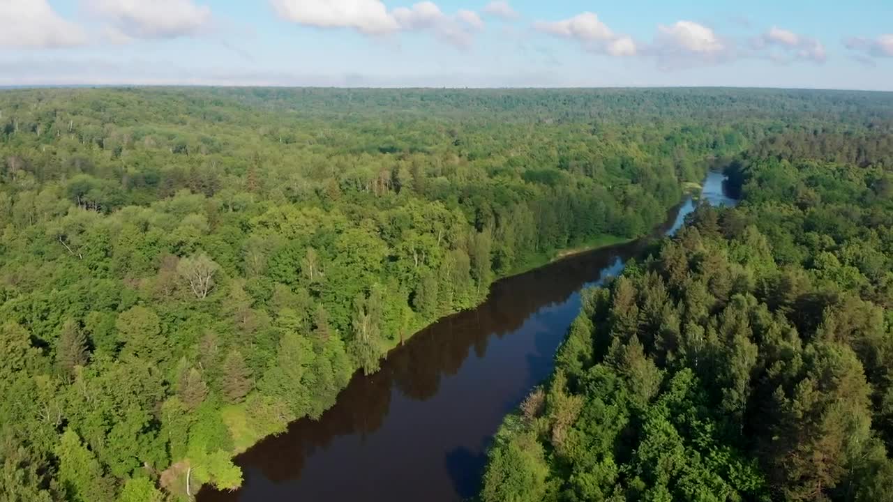 Download Free Stock Video River In The Middle Of The Forest Live Wallpaper