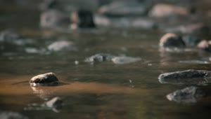 Free Stock Video River With Rocks Close Up Live Wallpaper