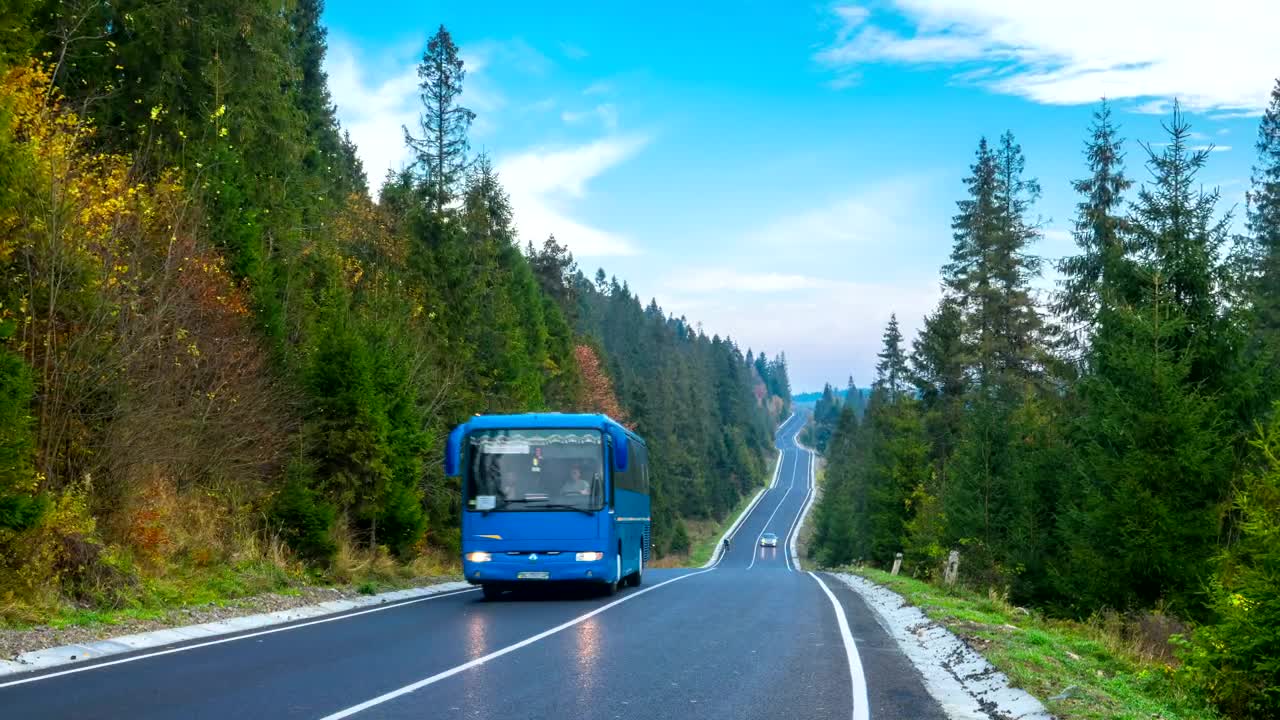 Download Free Stock Video Road In The Middle Of The Forest Live Wallpaper