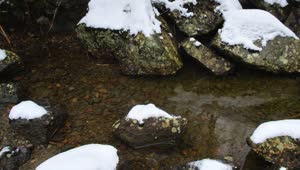 Free Stock Video Rocks In A River In A Snowy Forest Live Wallpaper