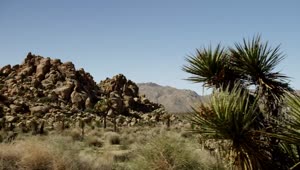 Free Stock Video Rocky Mound In The Desert Live Wallpaper