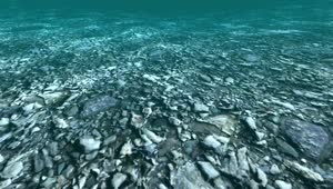 Free Stock Video Rocky Surface Under Water In D Live Wallpaper