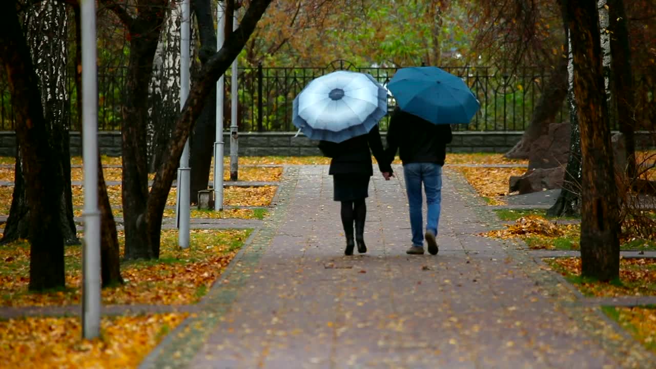 Download Free Stock Video Romantic Couple Walking In The Park During The Fall Live Wallpaper