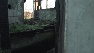 Free Stock Video Ruined Room Of An Abandoned House Live Wallpaper