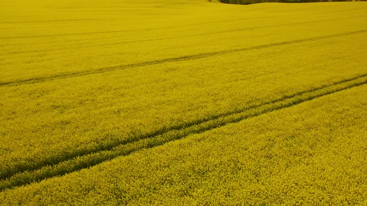 Download Free Stock Video Rural Fields In The Countryside Live Wallpaper