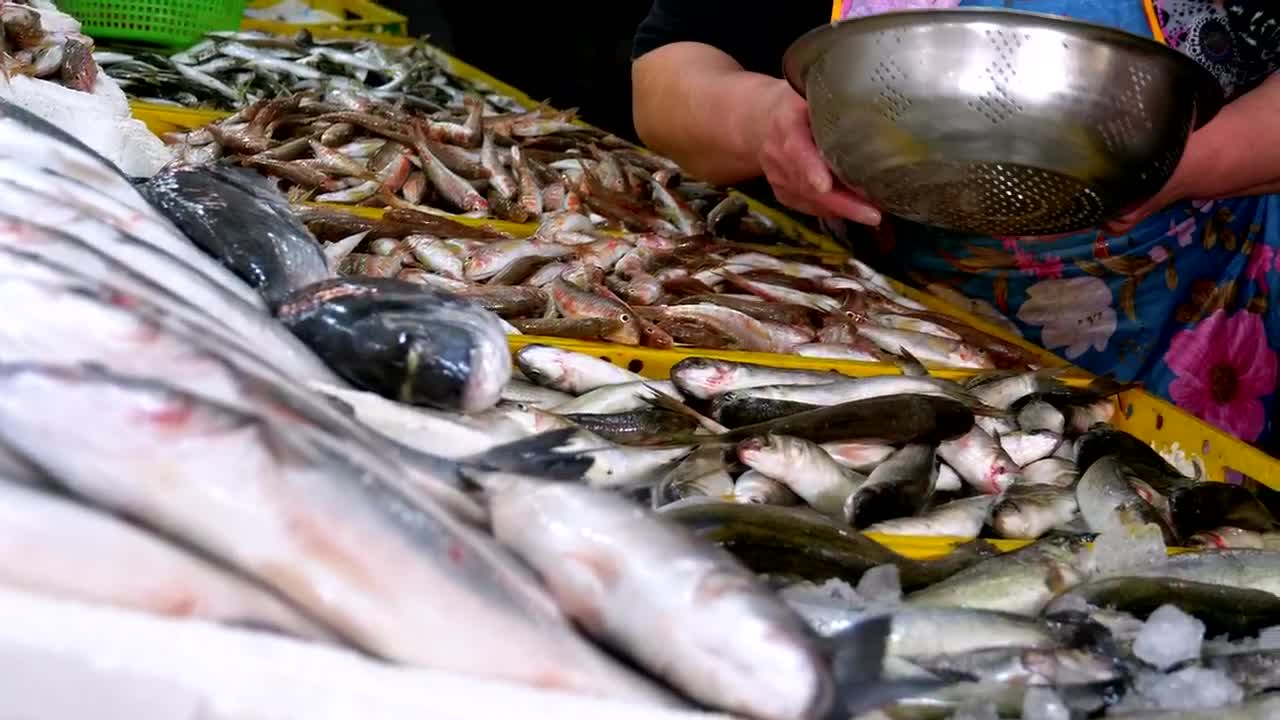 Download Free Stock Video Saleswoman Offering Fresh Fish Live Wallpaper
