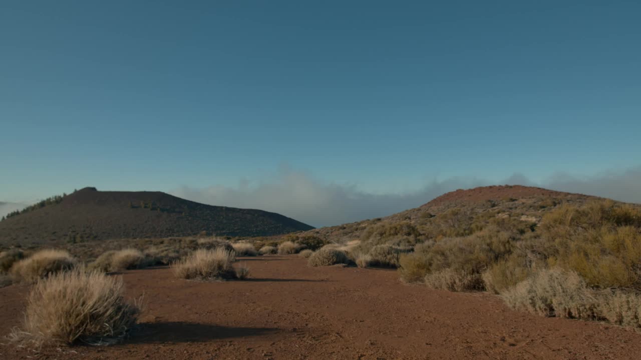 Download Free Stock Video Sand And Dry Grass In Tenerife Live Wallpaper