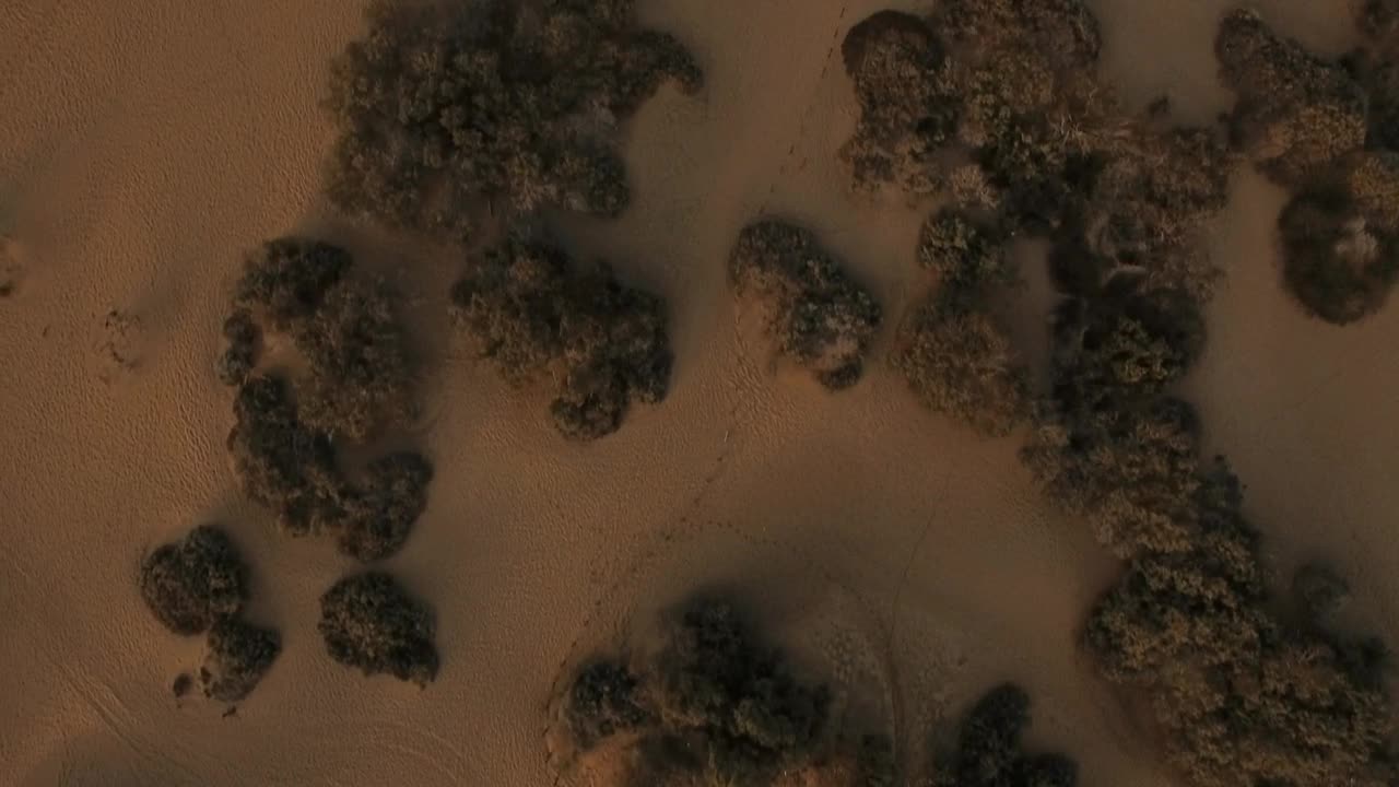 Download Free Stock Video Sand And Dry Plants Close To The Ocean Live Wallpaper