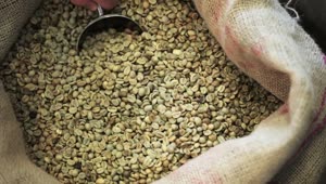 Free Stock Video Scooping Up Coffee Grains Live Wallpaper