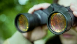 Free Stock Video Scouting Binoculars Live Wallpaper