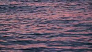 Free Stock Video Sea Waves Reflecting The Sunset Live Wallpaper