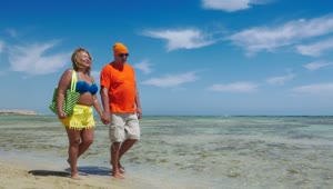 Free Stock Video Senior Couple Walking Along A Beach Live Wallpaper