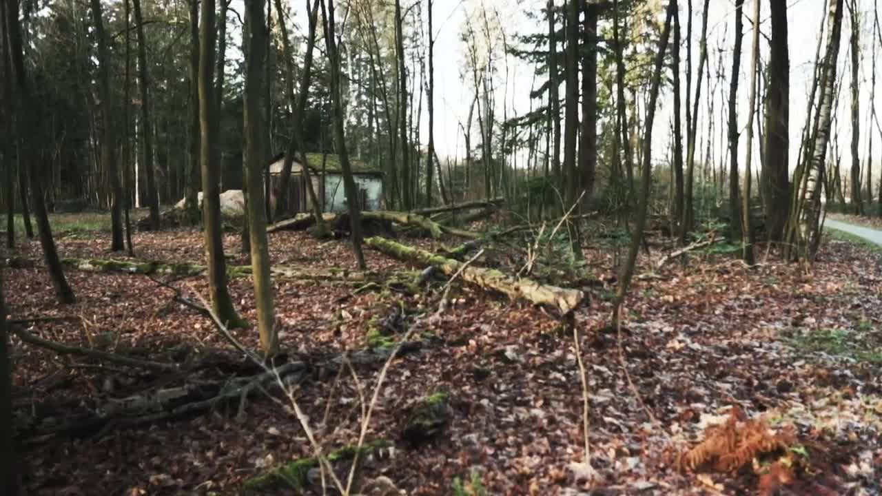 Download Free Stock Video Shed In The Middle Of A Wood Live Wallpaper