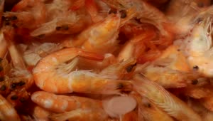 Free Stock Video Shrimp In Boiling Water Live Wallpaper