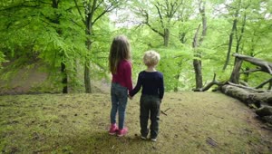 Free Stock Video Siblings In A Forest Live Wallpaper