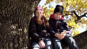 Free Stock Video Siblings Sitting On A Branch Live Wallpaper