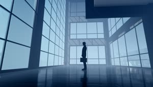Free Stock Video Silhouette Of Business Person With Portfolio Live Wallpaper