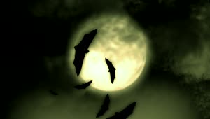 Free Stock Video Silhouettes Of Bats Flying Under The Full Moon Live Wallpaper