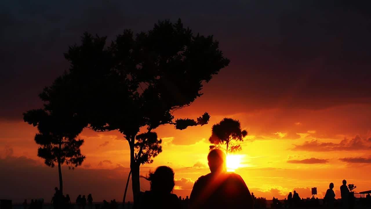 Download Free Stock Video Silhouettes Of People In A Park During A Sunset Live Wallpaper