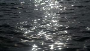 Free Stock Video Silver Ripples On The Coast Live Wallpaper