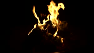Free Stock Video Simple Campfire Burning Live Wallpaper