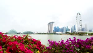 Free Stock Video Singapore Cityscape And Flowers Live Wallpaper