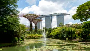 Free Stock Video Singapore Gardens And Fountain In The Lake Live Wallpaper