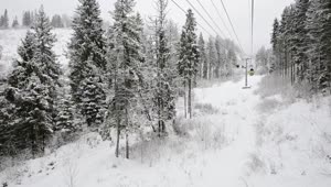 Free Video Stock Ski Station View Of A White Winter Forest Live Wallpaper