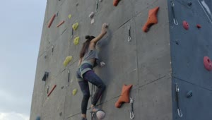 Free Video Stock Skillful Woman Climbing A High Wall For Mountaineering Live Wallpaper