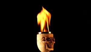 Free Video Stock Skull Shaped Cup With Fire On Black Background Live Wallpaper