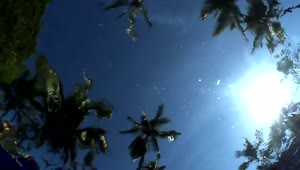 Free Video Stock Sky View From Underwater Live Wallpaper