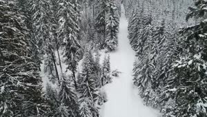 Free Video Stock Slow Aerial Tour Of A Winter Path In A Forest Live Wallpaper