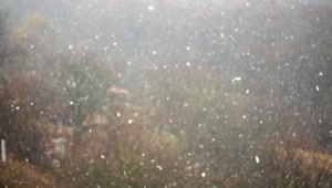 Free Video Stock Slow Falling Snow Over A Forest Live Wallpaper