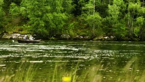 Free Video Stock Slow Flowing River Live Wallpaper