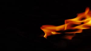 Free Video Stock Slow Motion Flame When Burning Wood Live Wallpaper