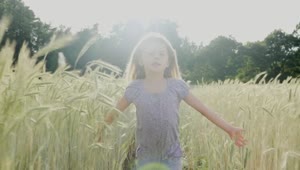 Free Video Stock Slow Motion Girl Running Through Tall Grass In Sun Live Wallpaper